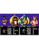 UFO 50 АВТОДОСТАВКА STEAM РОССИЯ