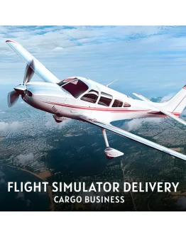 Flight Simulator Delivery: Cargo Business PS4 &amp PS5