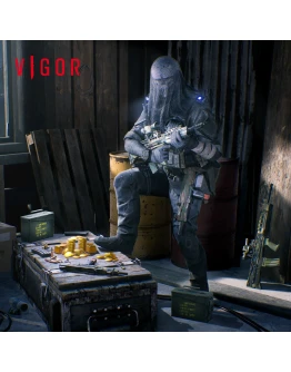 Vigor Path to Vengeance