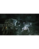 Pathogen Expansion