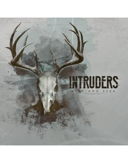 Intruders Hide and Seek