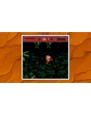 Radical Rex QUByte Classics