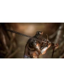 Dark Crusader Starting Class