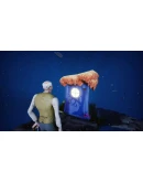 Spiral 2024 АВТОДОСТАВКА STEAM РОССИЯ