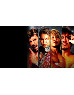 Fire Pro Wrestling World PS4 &amp PS5