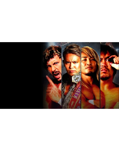 Fire Pro Wrestling World PS4 &amp PS5