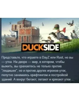 DUCKSIDE АВТОДОСТАВКА STEAM РОССИЯ DUCKSIDE АВТОДОСТАВКА STEAM РОССИЯ