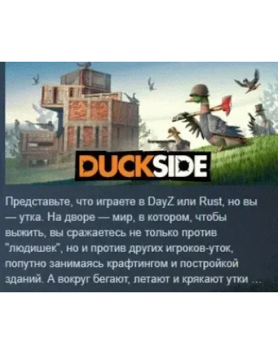 DUCKSIDE АВТОДОСТАВКА STEAM РОССИЯ