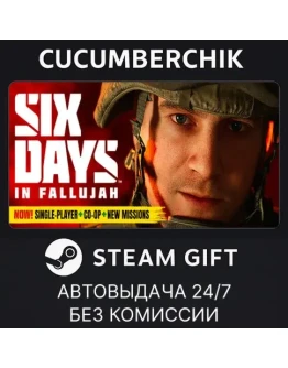 Six Days in FallujahSTEAM GIFT AUTORU+МИР