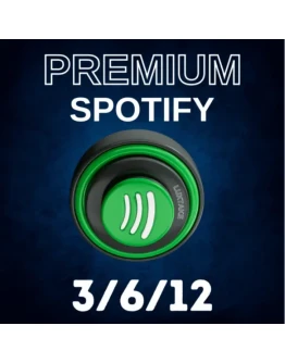 3/6/12 SPOTIFY PREMIUM ИНДИВИДУАЛЬНЫЙ/ДУЭТБЫСТРО