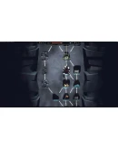 EcoGnomix АВТОДОСТАВКА STEAM РОССИЯ