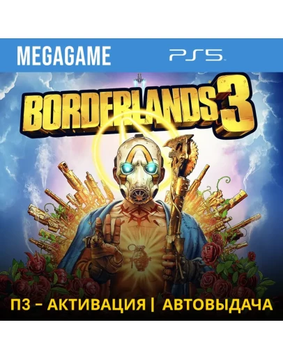 Borderlands 3 (PS5/RUS) П3-Активация