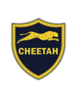 Cheetah Pro Tool - аренда аккаунта