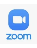 Подписка Zoom Workplace Pro 1-12 мес