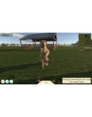 Animal Trainer Simulator * STEAM RU АВТО 0