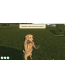 Animal Trainer Simulator * STEAM RU АВТО 0