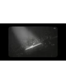 White ShadowsSTEAM GIFT AUTORU+МИР