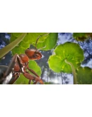 Empire of the Ants - STEAM GIFT РОССИЯ