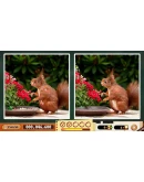 Spot The Differences! Party Xbox Series XS активация