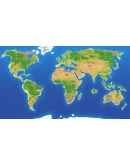 Let's Build a Zoo Xbox OneXS активация Let's Build a Zoo Xbox OneXS активация