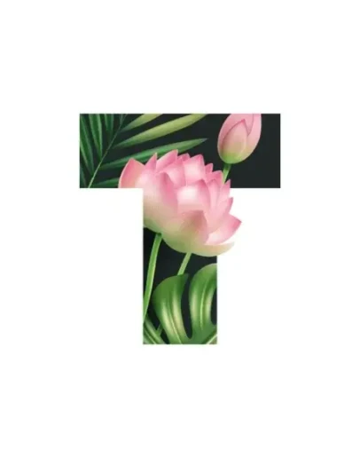 Text Текст на фото шрифты арт PRO iPhone ios AppStore