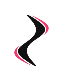 Zoomerang Ai Video Maker PRO iPhone ios AppStore iPad