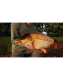 (DLC) Fishing Sim World: Pro Tour Giant Carp Pack КЛЮ