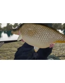 (DLC) Fishing Sim World: Pro Tour - Gigantica Road Lake
