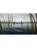 (DLC) Fishing Sim World: Pro Tour Lake Dylan КЛЮЧ