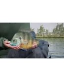 (DLC) Fishing Sim World: Pro Tour Lake Williams КЛЮЧ