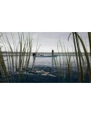 (DLC) Fishing Sim World: Pro Tour Lake Dylan КЛЮЧ