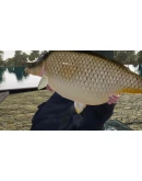 (DLC) Fishing Sim World: Pro Tour - Gigantica Road Lake