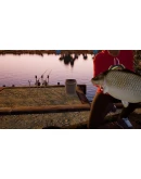 (DLC) Fishing Sim World: Pro Tour - Gigantica Road Lake