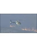 (DLC) Microsoft Flight Simulator X: Steam Edition: Fair