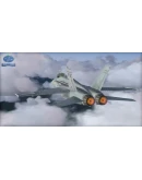 (DLC) Microsoft Flight Simulator X: Steam Edition: Fair