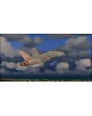 (DLC) Microsoft Flight Simulator X: Steam Edition: Fair