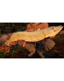 (DLC) Fishing Sim World: Pro Tour Jezioro Bestii КЛЮЧ (DLC) Fishing Sim World: Pro Tour Jezioro Bestii КЛЮЧ