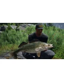 (DLC) Fishing Sim World: Pro Tour Jezioro Bestii КЛЮЧ (DLC) Fishing Sim World: Pro Tour Jezioro Bestii КЛЮЧ