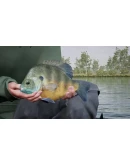 (DLC) Fishing Sim World: Pro Tour Lake Williams КЛЮЧ