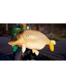 Fishing Sim World: Pro Tour - Deluxe Edition КЛЮЧ Fishing Sim World: Pro Tour - Deluxe Edition КЛЮЧ