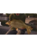 Fishing Sim World - Quad Lake Pass КЛЮЧ STEAM ROW