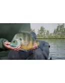 Fishing Sim World - Quad Lake Pass КЛЮЧ STEAM ROW