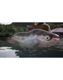 (DLC) Fishing Sim World: Pro Tour Giant Carp Pack КЛЮ (DLC) Fishing Sim World: Pro Tour Giant Carp Pack КЛЮ