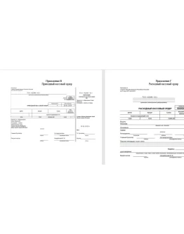 Учет и аудит денежных средств в организации на примере