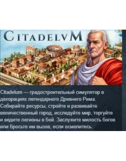 Citadelum АВТОДОСТАВКА STEAM РОССИЯ