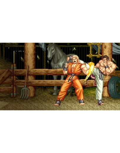 ACA NEOGEO ART OF FIGHTING 2 PS4 &amp PS5
