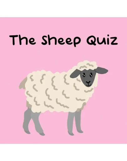 The Sheep Quiz PS5