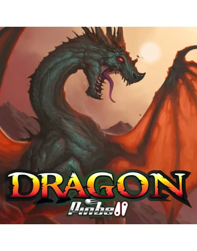 Dragon Pinball PS4 &amp PS5