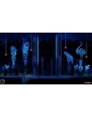 ANIMAL WELL Xbox Series XS активация