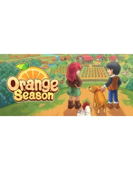 Orange Season * STEAM РОССИЯ АВТОДОСТАВКА 0 КАРТЫ